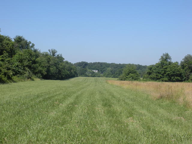 7933_Aiken_Road_DSCN0517 7933_Aiken_Road_DSCN0517